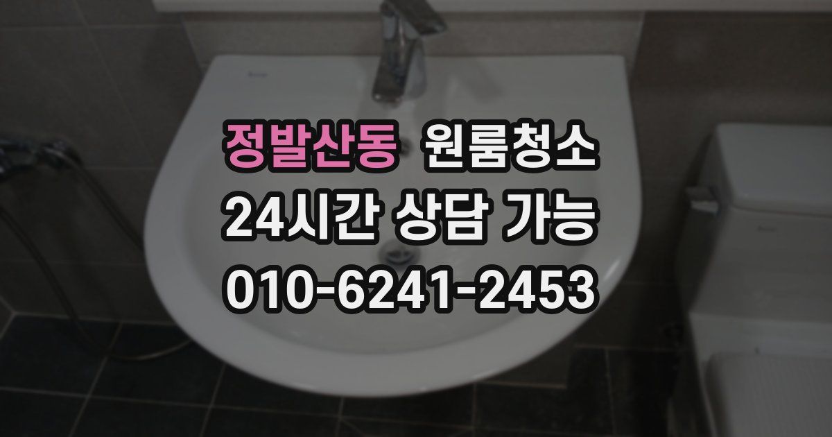 정발산동 입주청소