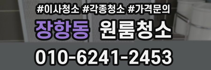 장항동 이사청소