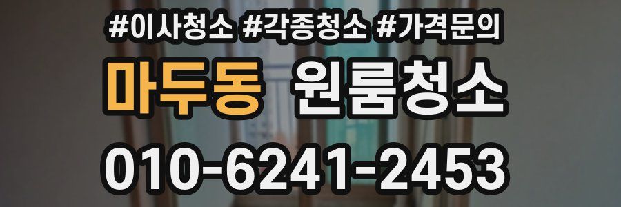 마두동 이사청소