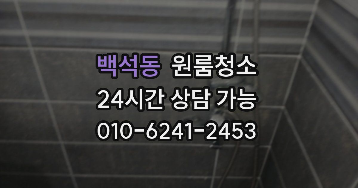 백석동 입주청소