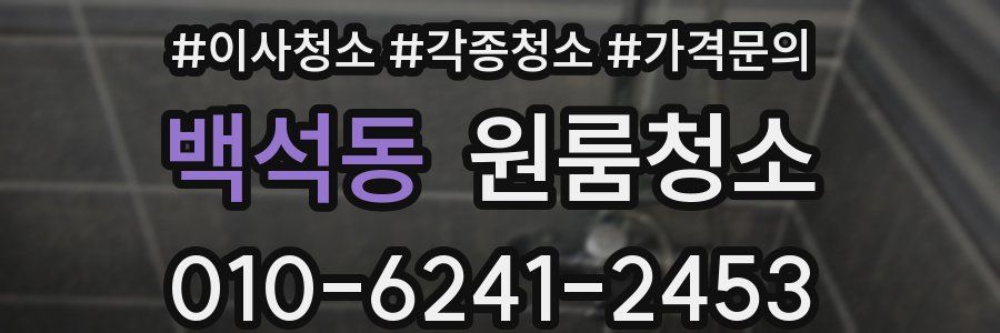 백석동 이사청소