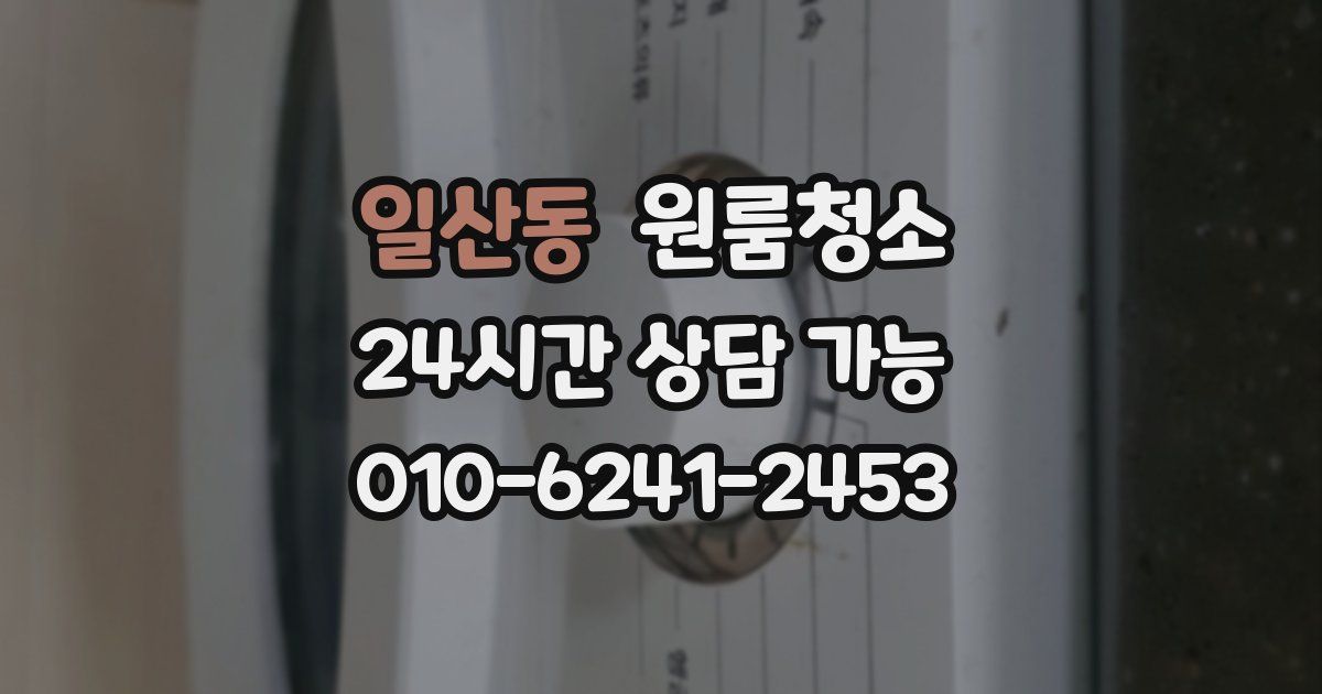 일산동 입주청소