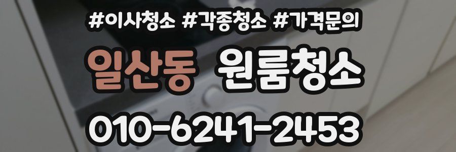 일산동 이사청소