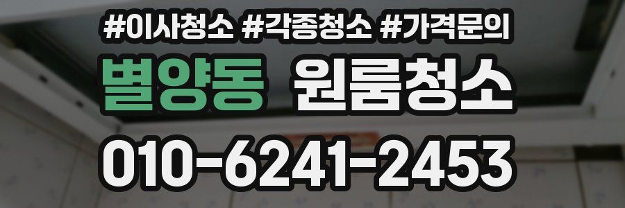 별양동 이사청소