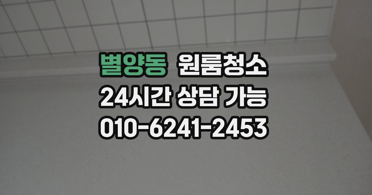 별양동 입주청소