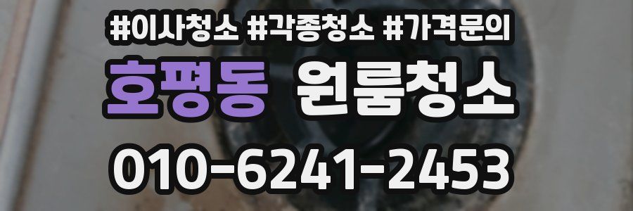 호평동 이사청소