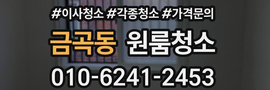 금곡동 이사청소