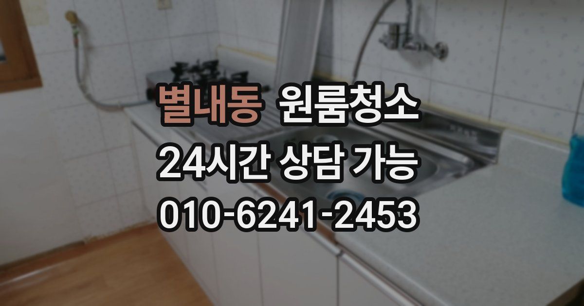 별내동 입주청소