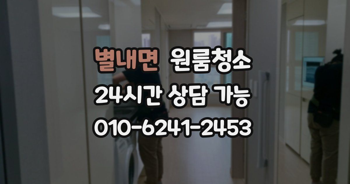 별내면 입주청소