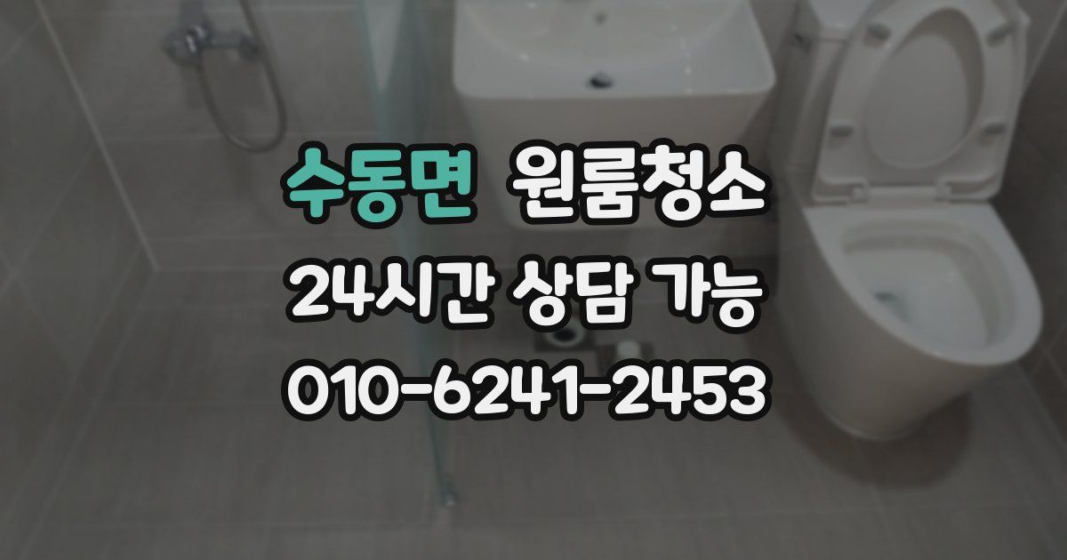 수동면 입주청소