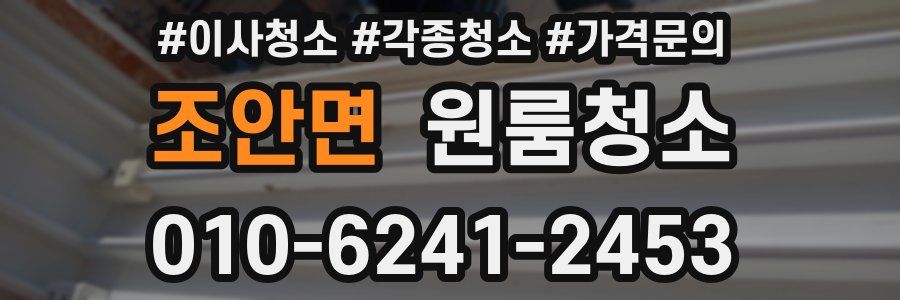 조안면 이사청소