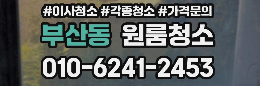 부산동 이사청소