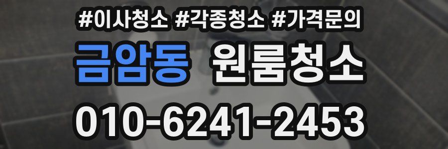 금암동 이사청소