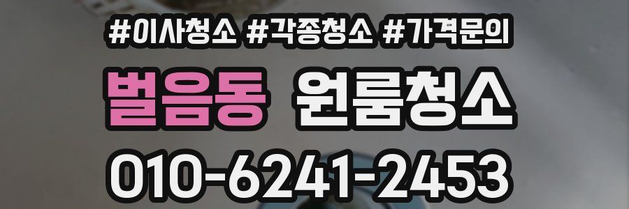 벌음동 이사청소