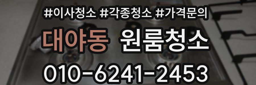 대야동 이사청소