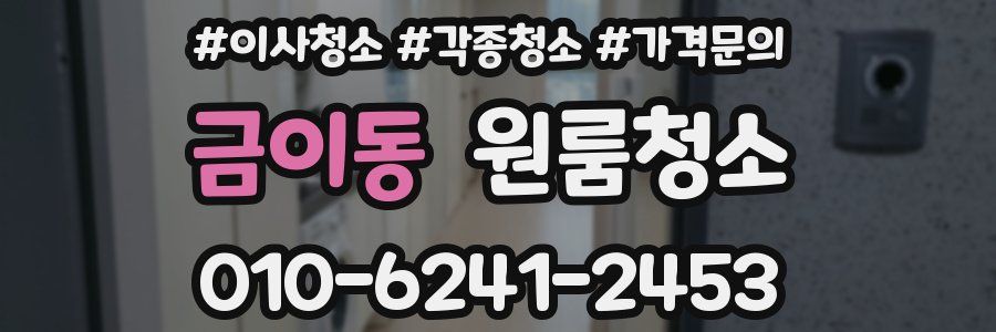 금이동 이사청소