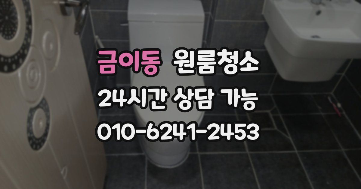 금이동 입주청소