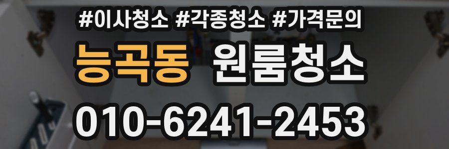 능곡동 이사청소