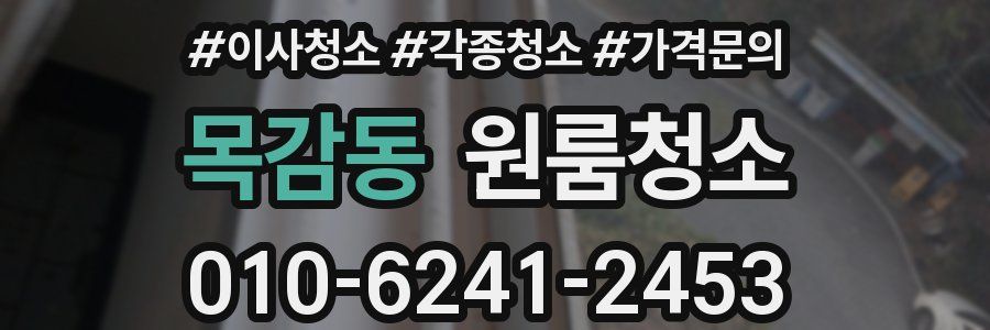 목감동 이사청소