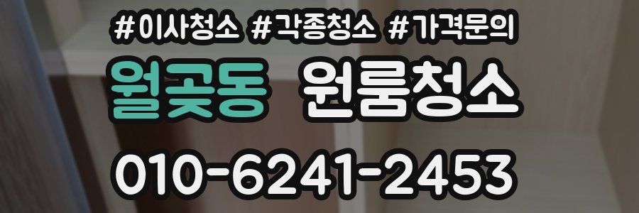 월곶동 이사청소