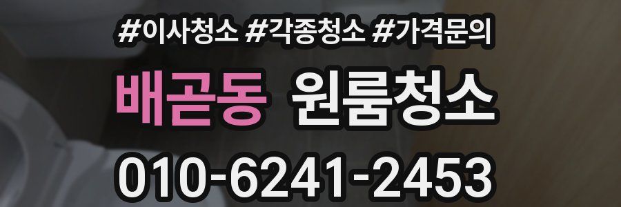 배곧동 이사청소