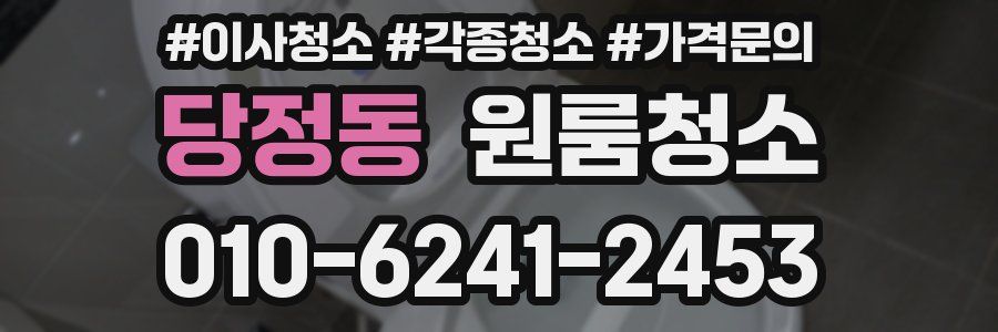 당정동 이사청소