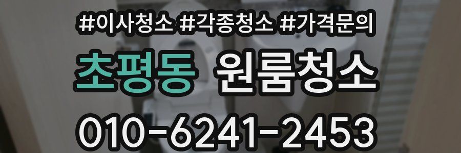 초평동 이사청소