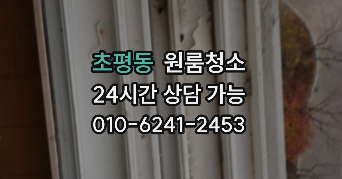 초평동 입주청소