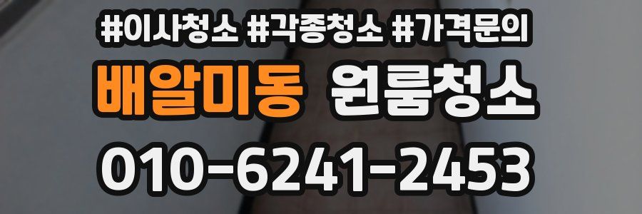 배알미동 이사청소