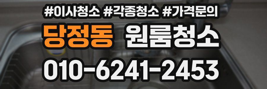 당정동 이사청소