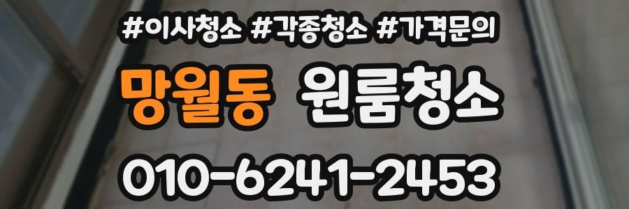 망월동 이사청소