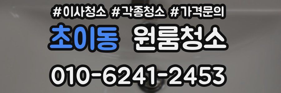 초이동 이사청소