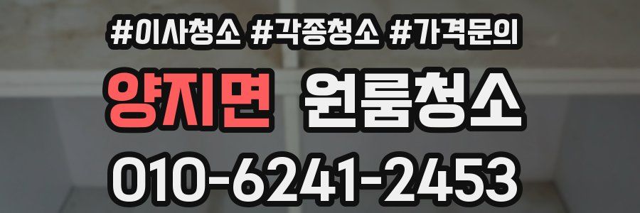 양지면 이사청소