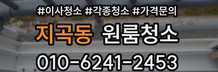 지곡동 이사청소