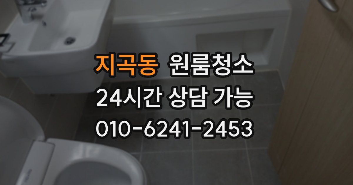 지곡동 입주청소