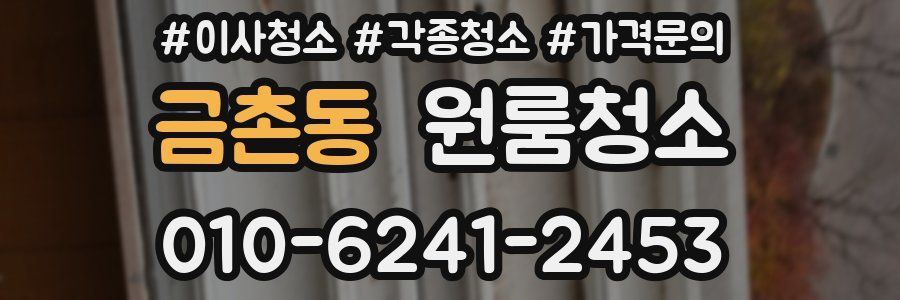 금촌동 이사청소