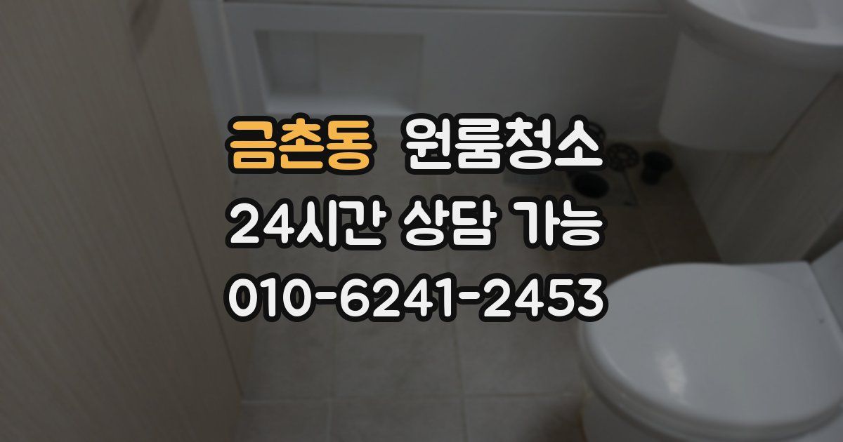 금촌동 입주청소