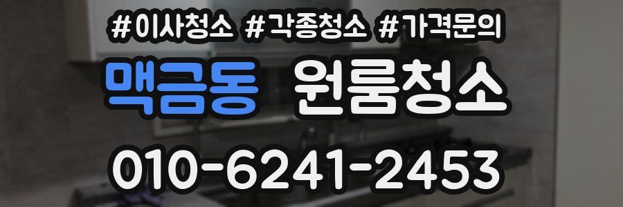 맥금동 이사청소