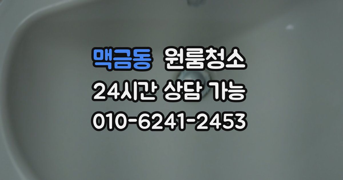 맥금동 입주청소