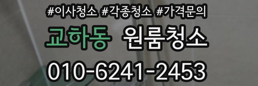 교하동 이사청소