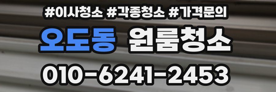 오도동 이사청소