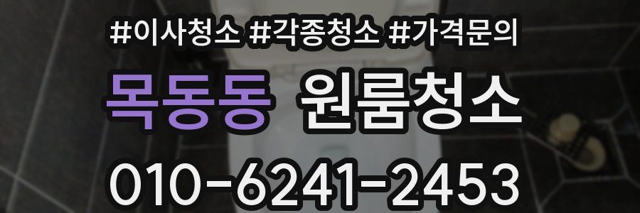 목동동 이사청소