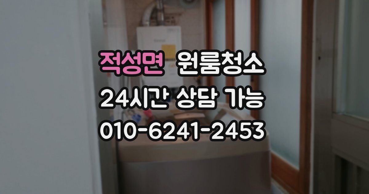 적성면 입주청소