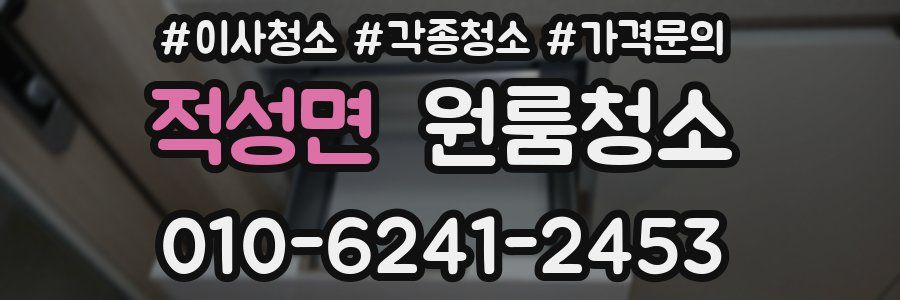 적성면 이사청소