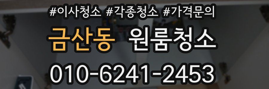 금산동 이사청소