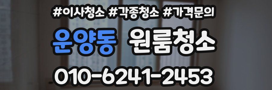 운양동 이사청소