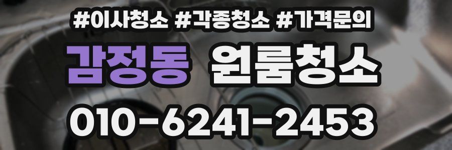 감정동 이사청소