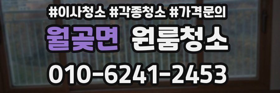 월곶면 이사청소