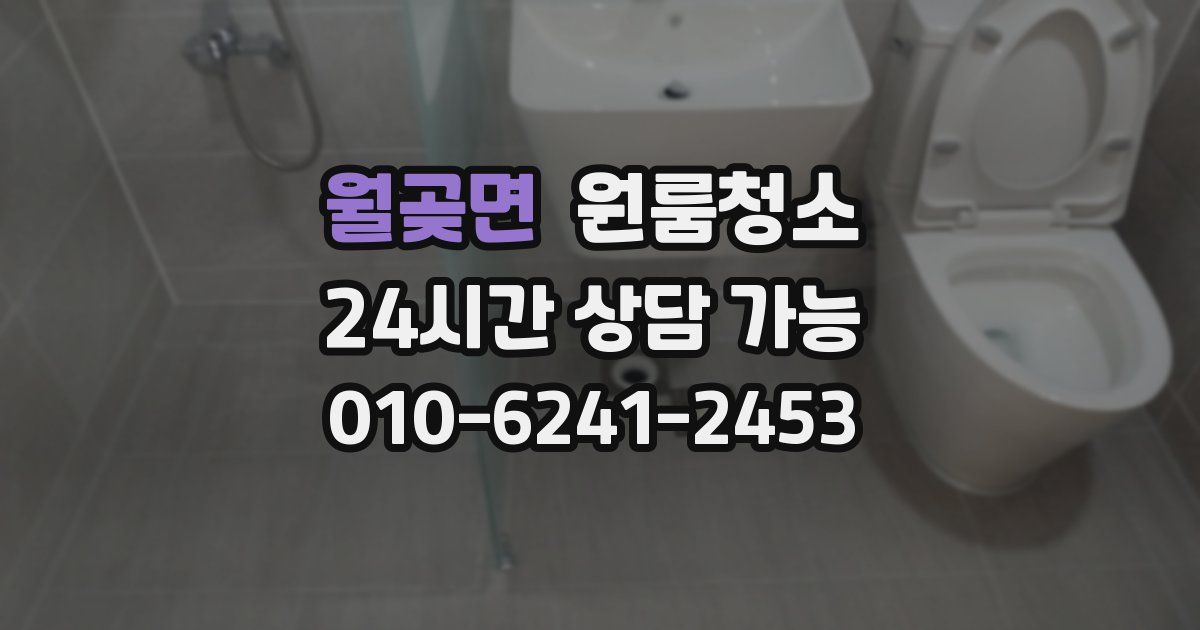 월곶면 입주청소