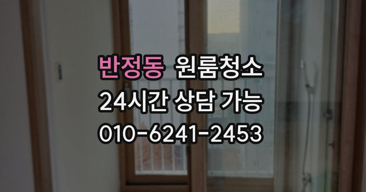 반정동 입주청소